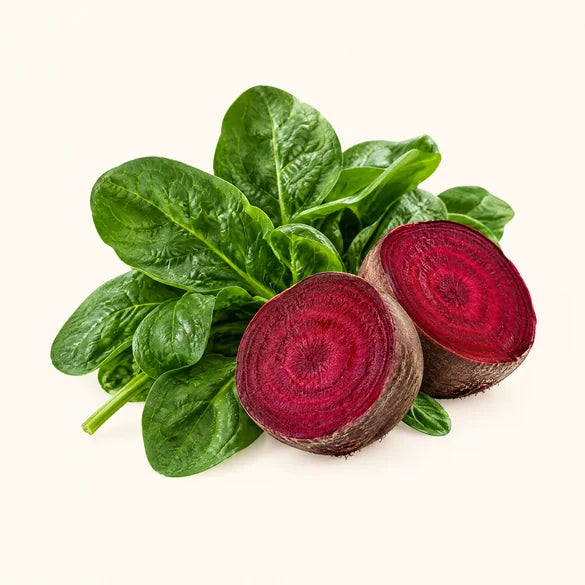 TMG + B6, B12 & Folate