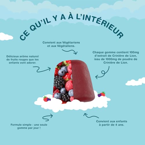 Neuromane Crinière de Lion 1000 mg – Gummies Mémoire & Concentration