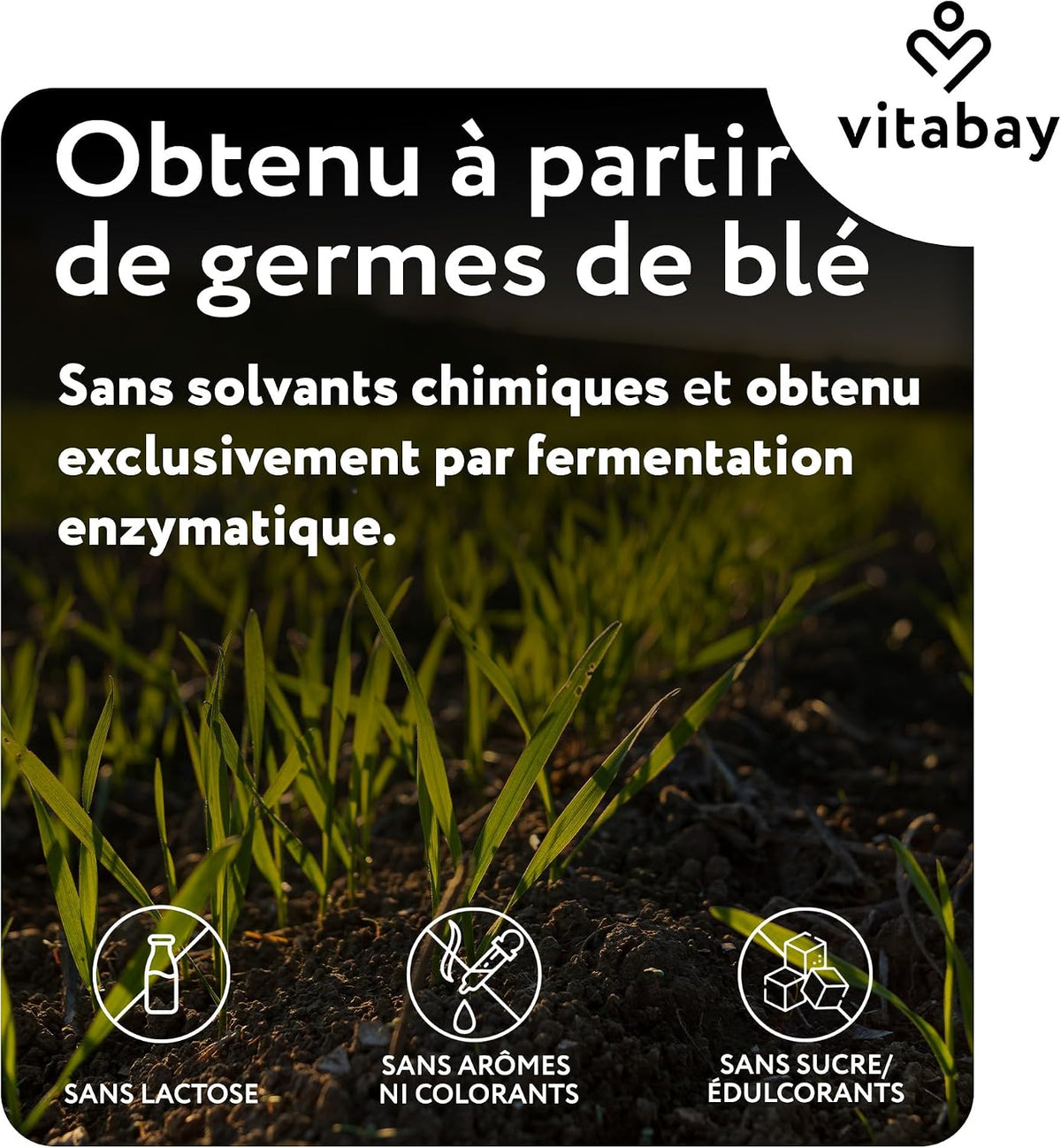 CELLAVIE 5