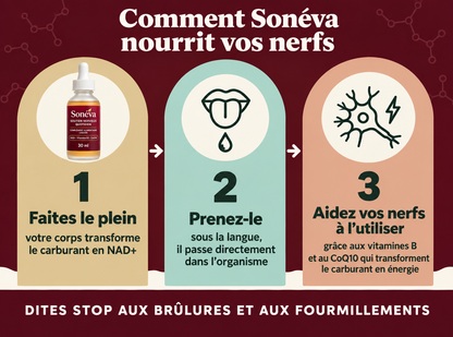 Sonéva ™ – Soutien nerveux en gouttes