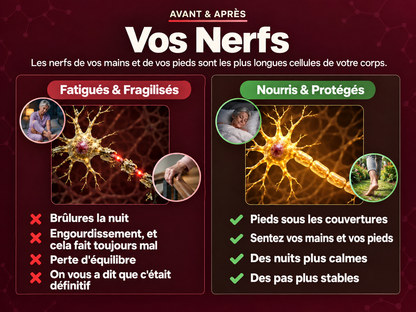 Sonéva ™ – Soutien nerveux en gouttes