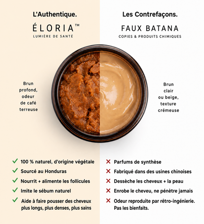 ÉLORIA ™