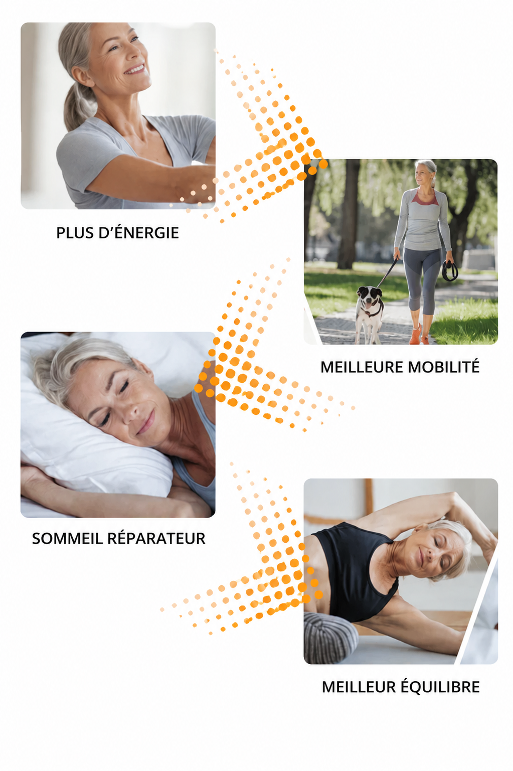 Frise des résultats semaine après semaine avec HARMONIA™