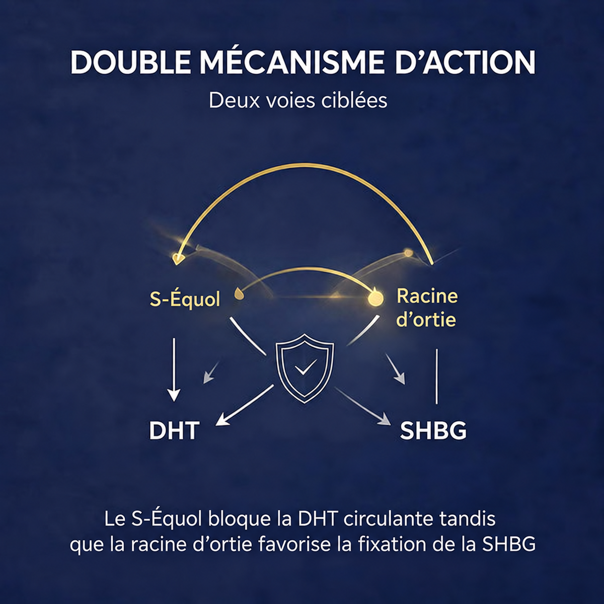 PROSTAVIE — image produit en français