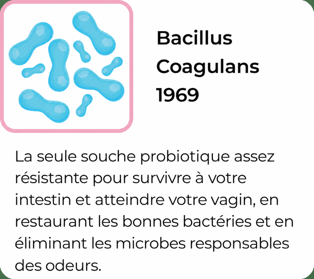 Bacillus Coagulans 1969