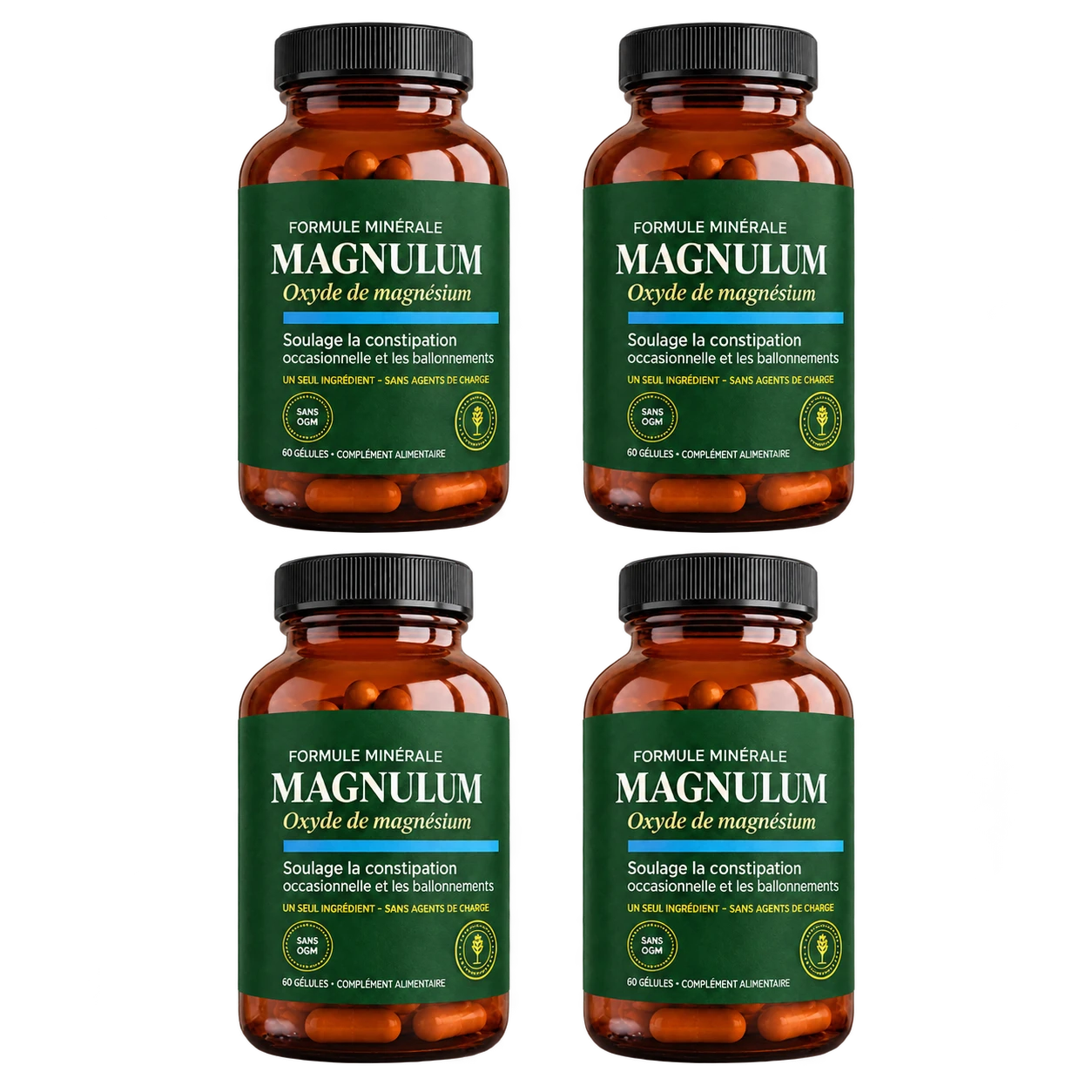 4 flacons Magnulum