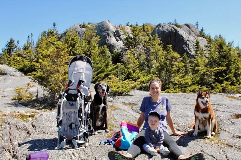 Randonnée avec des chiens au pays des tiques