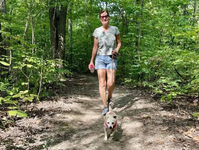 Randonnée avec un chien
